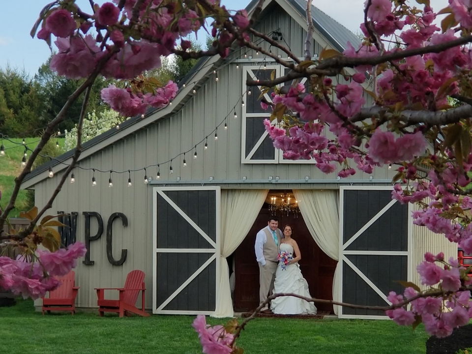 Wedding Gallery